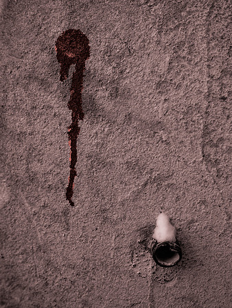P1180287-Edit
